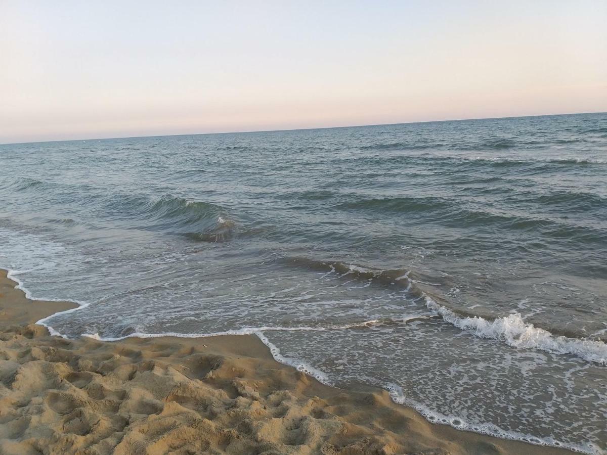 شقة Beach House باسوكورو المظهر الخارجي الصورة